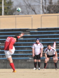 img0031.jpg
