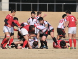 img0047.jpg