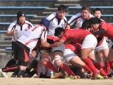 img0080.jpg