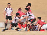 img0095.jpg