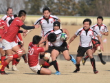 img0156.jpg