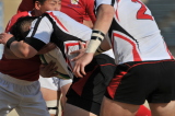 img0208.jpg