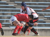 img0225.jpg