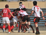 img0249.jpg