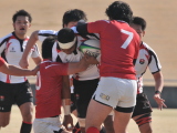 img0255.jpg