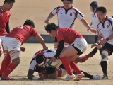 img0257.jpg