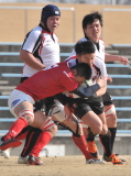 img0262.jpg