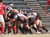 img0295.jpg
