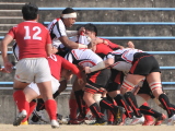 img0296.jpg