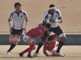 img0311.jpg