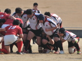 img0313.jpg