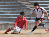 img0317.jpg