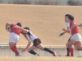 img0331.jpg