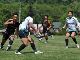 img0011.jpg