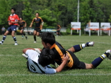 img0012.jpg