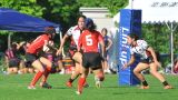 img0031.jpg