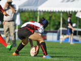 img0079.jpg