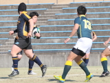 img0020.jpg