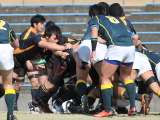 img0028.jpg
