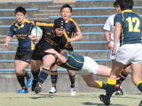img0031.jpg