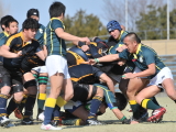 img0041.jpg