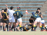 img0052.jpg