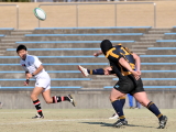 img0078.jpg