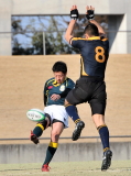 img0081.jpg