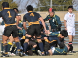 img0085.jpg