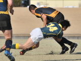 img0095.jpg