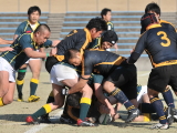 img0103.jpg