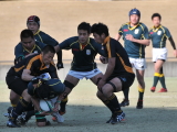 img0115.jpg