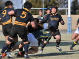 img0133.jpg
