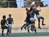 img0140.jpg