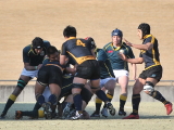 img0141.jpg