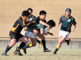 img0143.jpg
