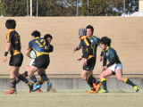 img0144.jpg