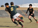 img0171.jpg