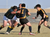 img0173.jpg