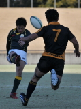img0190.jpg
