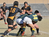 img0195.jpg