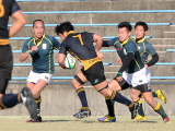 img0196.jpg