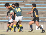 img0197.jpg