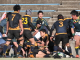 img0208.jpg