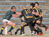 img0216.jpg