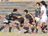 img0217.jpg