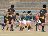 img0219.jpg