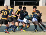 img0225.jpg