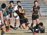 img0233.jpg