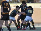 img0244.jpg